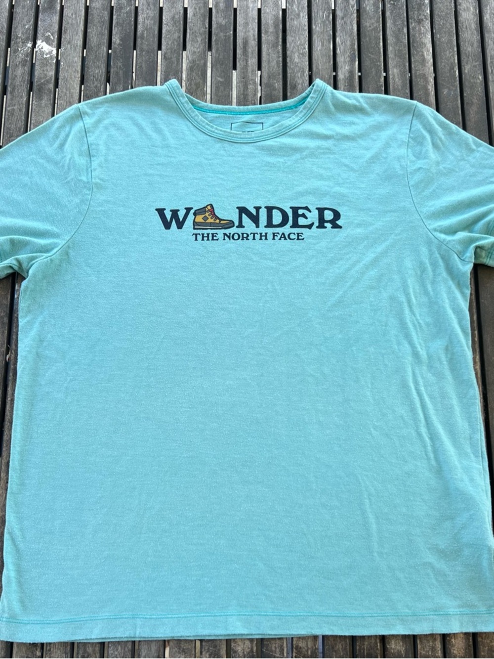 The North Face Men's Wonder Graphic Tee - Aqua Blue